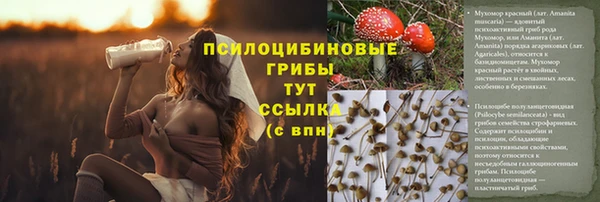 MESCALINE Корсаков