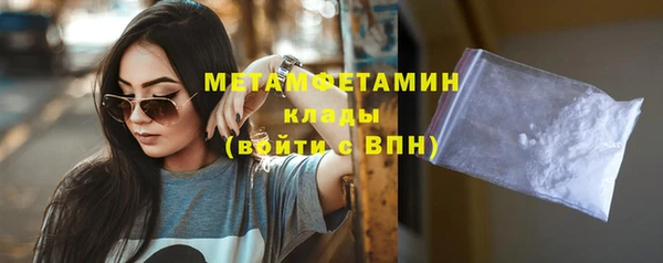 прущие грибы Коряжма