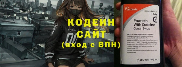 прущие грибы Коряжма